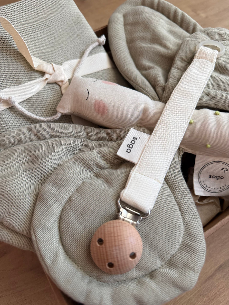 Beebi kinkekarbi komplekt – Butterfly